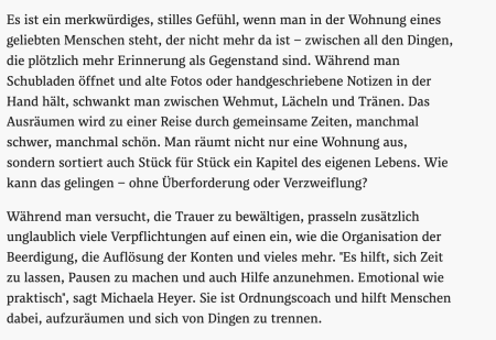 derStandard - mentale Gesundheit Interview